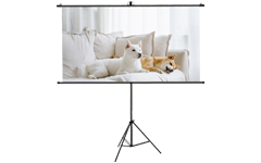 Pantalla del proyector